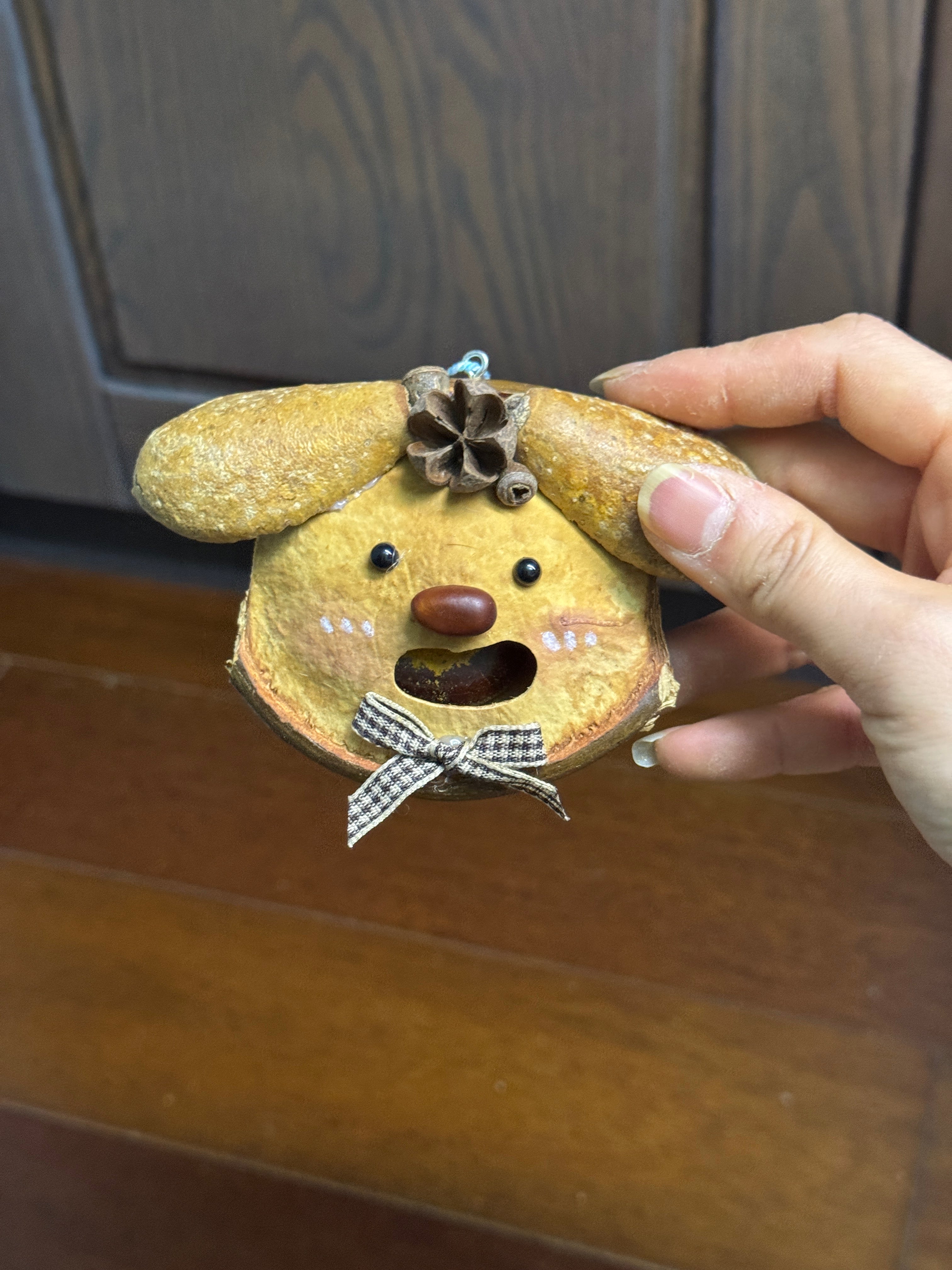 Handmade Entada Bean Pod Ornament