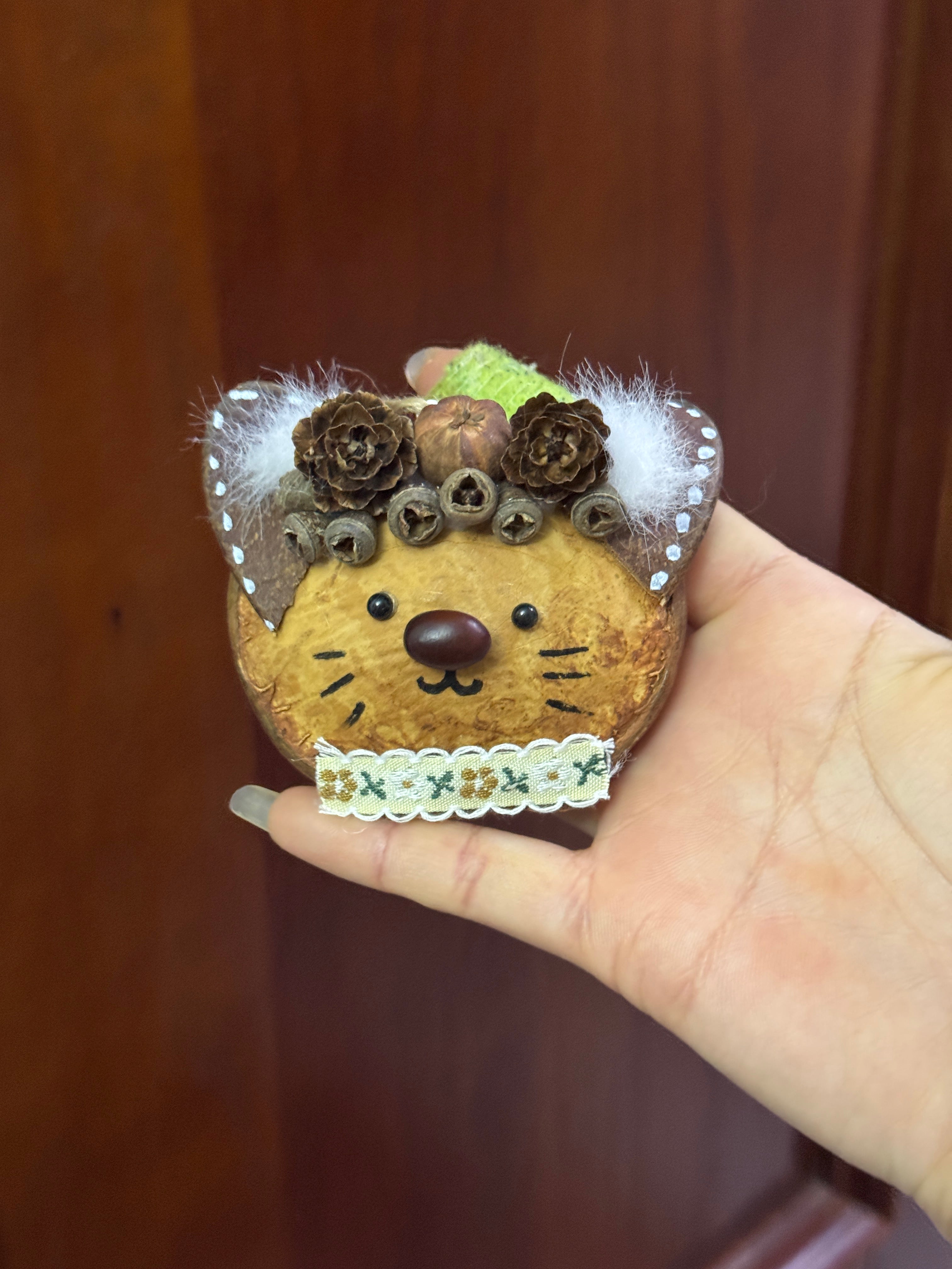 Handmade Entada Bean Pod Ornament, Cat-Inspired Design