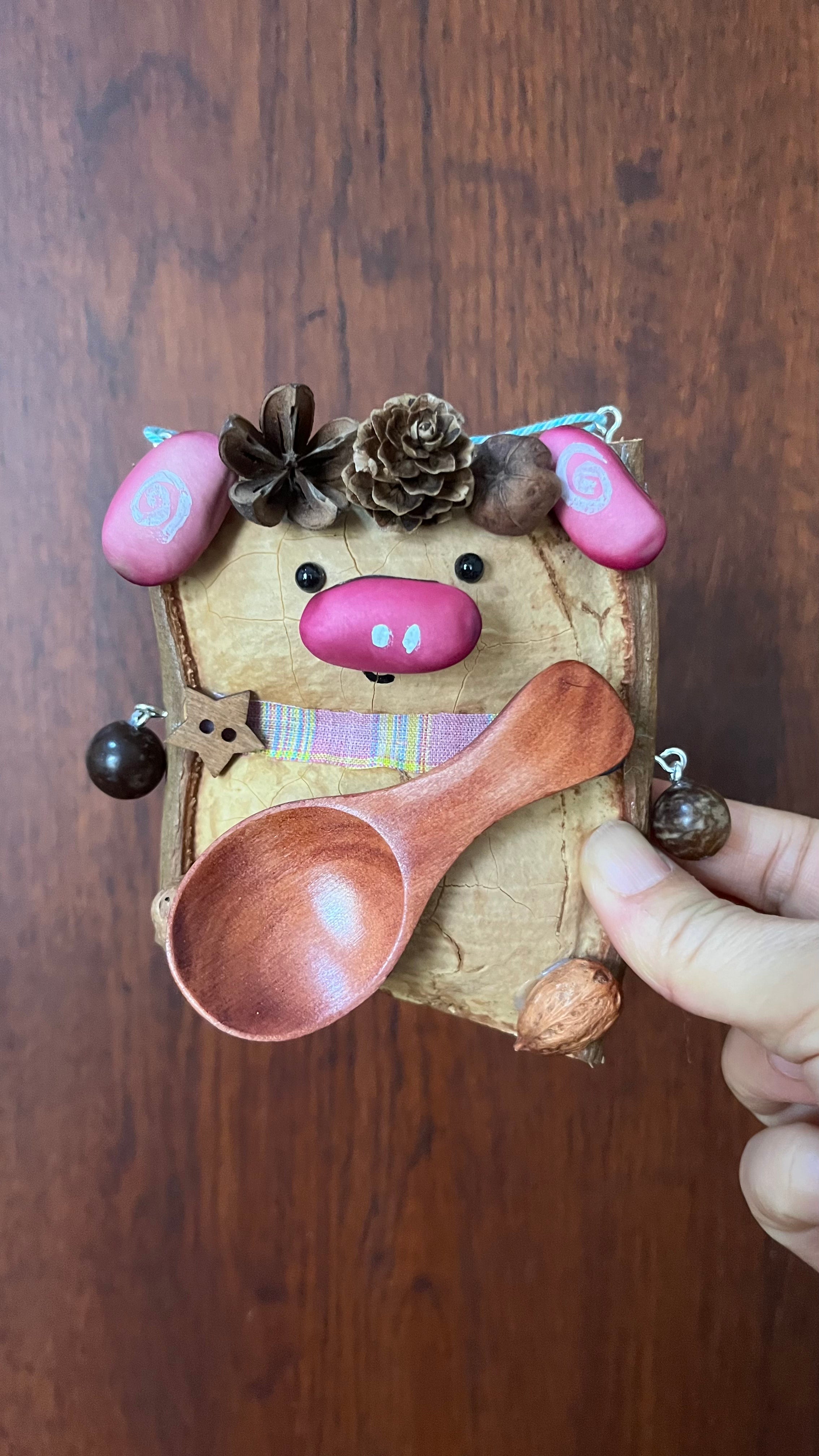 Handmade Entada Double Bean Pod Ornament